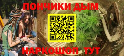 индика Краснокаменск