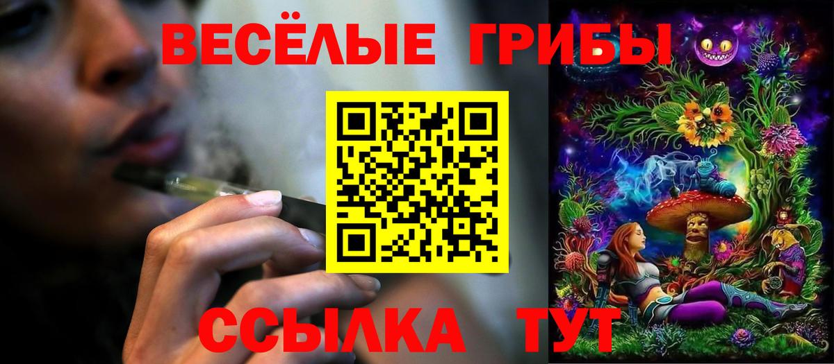Псилоцибиновые грибы Psilocybe Курск