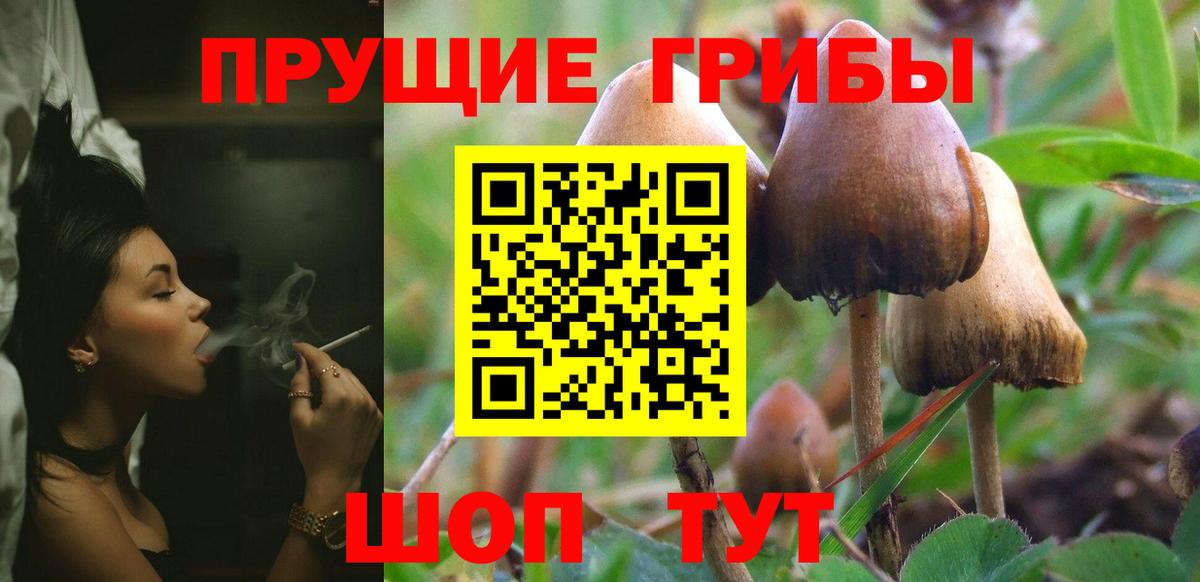 Курск  Галлюциногенные грибы мицелий  Вход с VPN 